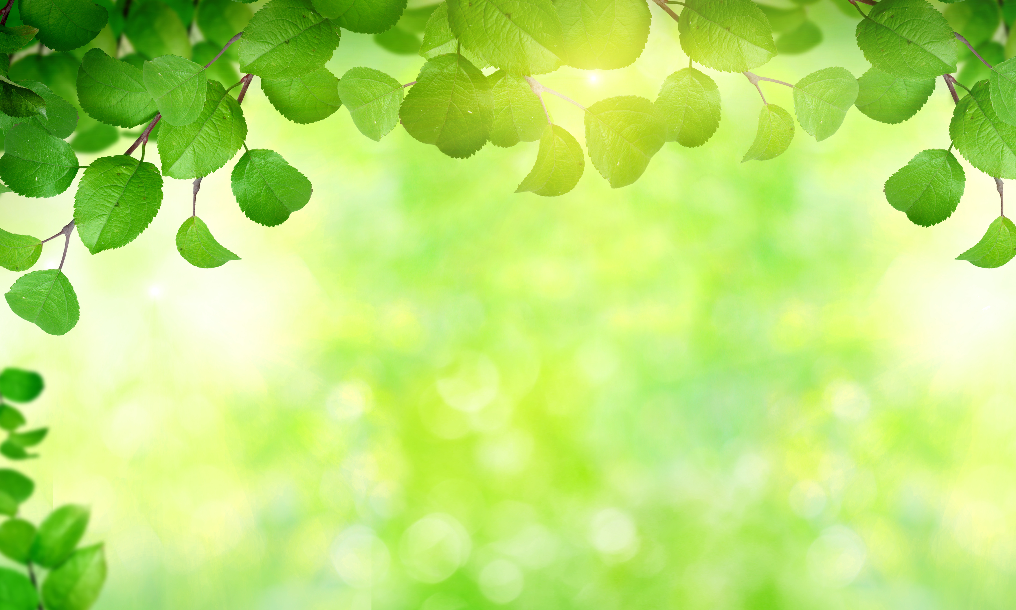 spring background